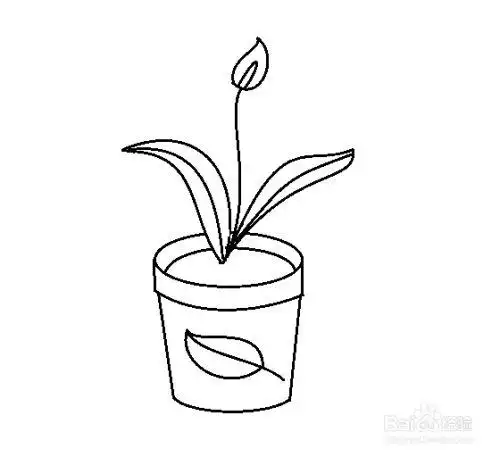 在花盆上画一片装饰的叶片.