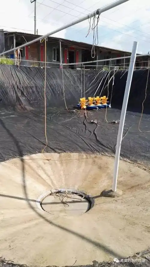 养虾高产的秘诀从排污口做起丨多种排污方式分享