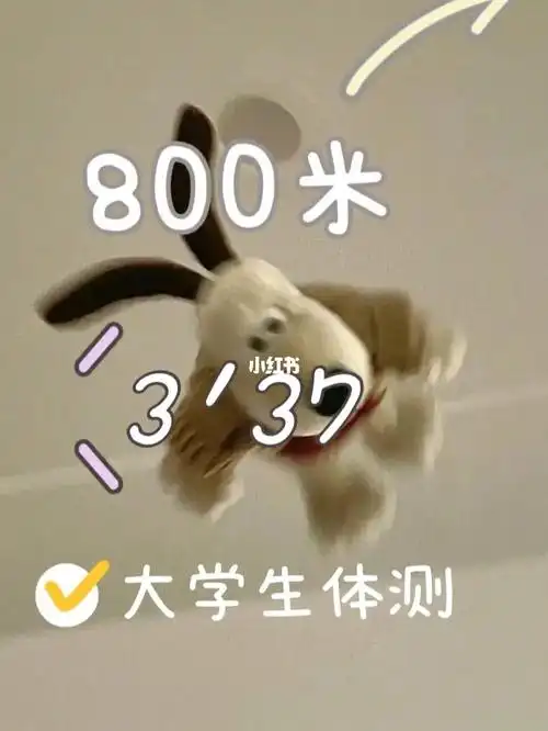 800米拿命跑的跑完就吐了