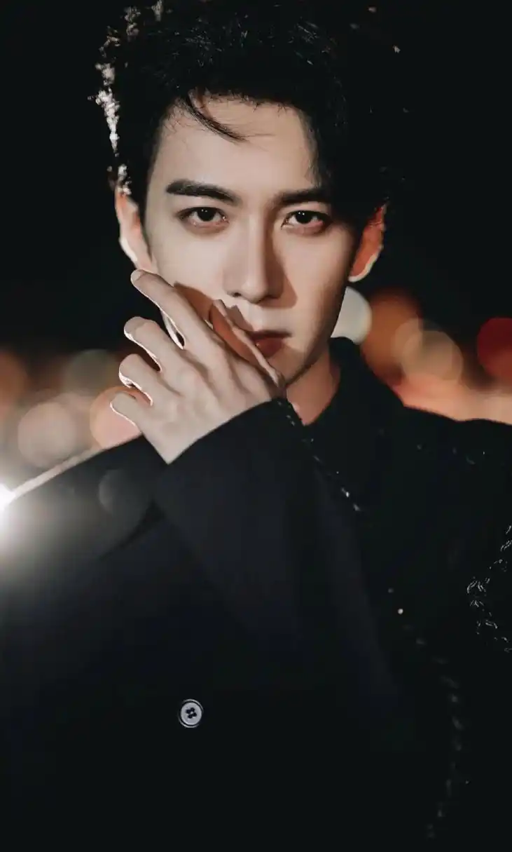 剑眉星目,仪表不凡,宛若从小说里走出来的男主角