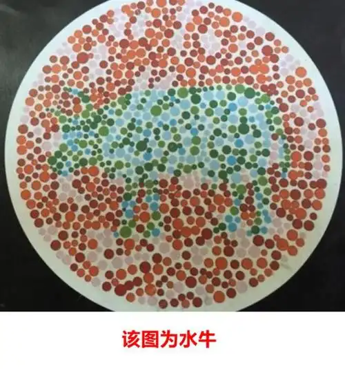 驾照换证体检色盲_色弱训练36张图片-第2张图片-体检知音