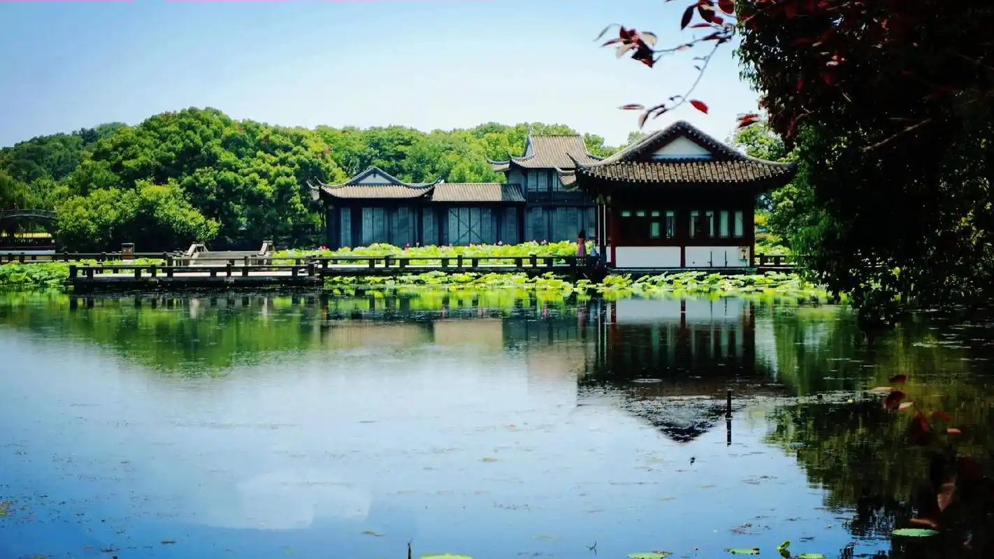 杭州花圃位于西湖西畔的杨公堤以西,洪春桥南黄泥岭以 - 抖音