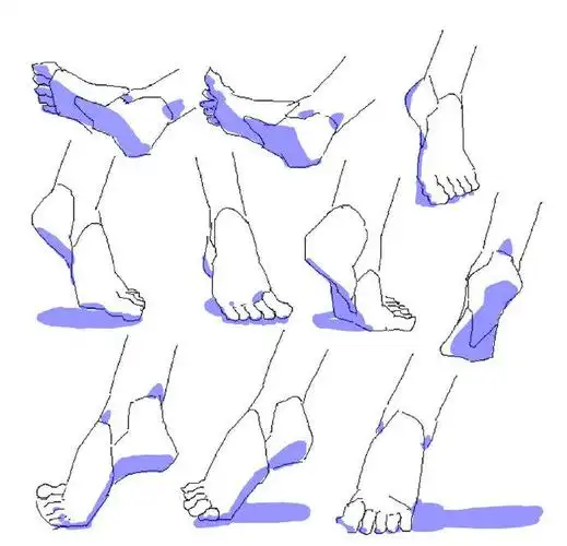 板绘素材100臭jiojio的素材