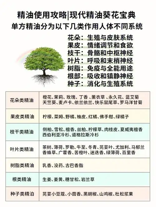 精油分类功效作用大全