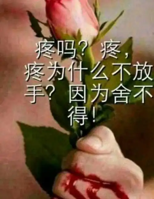 我选择放弃,因为我知道,在感情上,我输了.