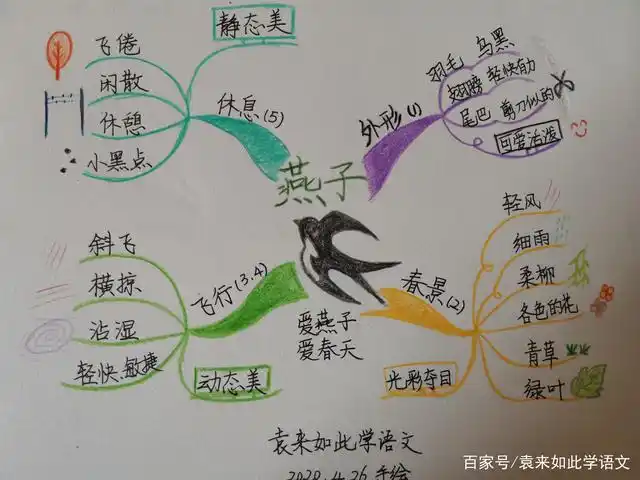 思维导图解读三年级下册:燕子(理解课文脉络,帮助模仿写作)