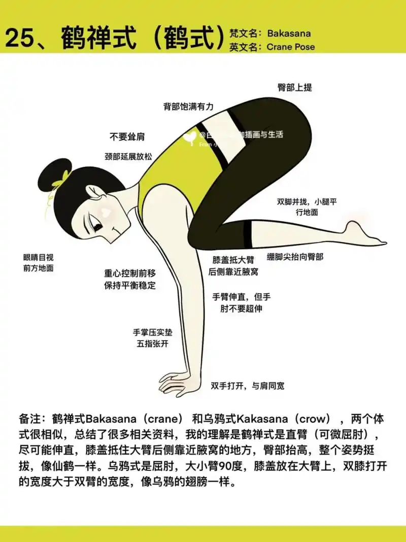 原创瑜伽插画|瑜伽体式笔记——鹤禅式 #瑜伽# #瑜伽体式# #瑜伽插画