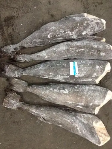 黑鳕鱼 阿拉斯加黑鳕鱼 黑雪鱼