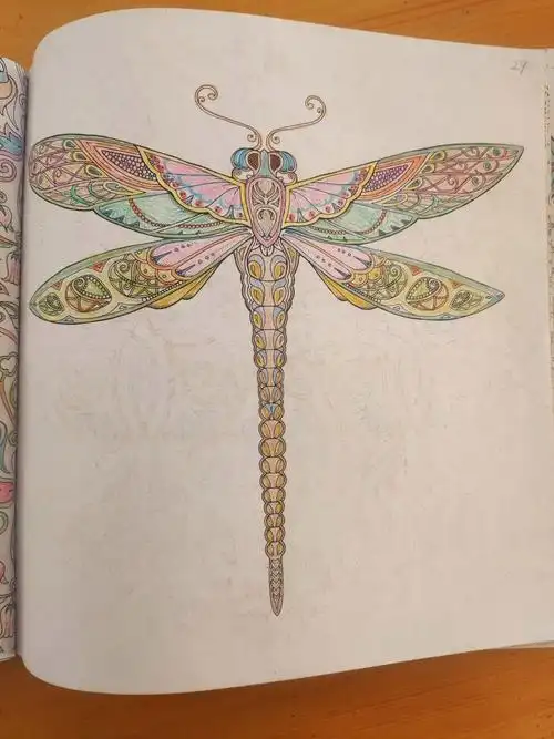 魔法森林秘密花园二第29页