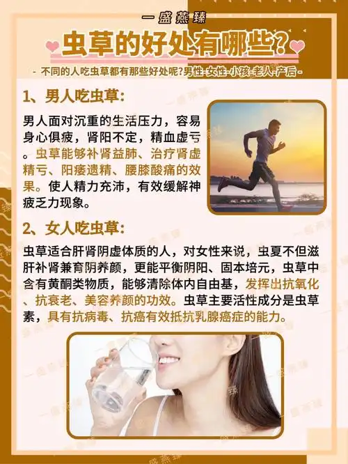 虫草知识虫草的好处食用方法如何存放