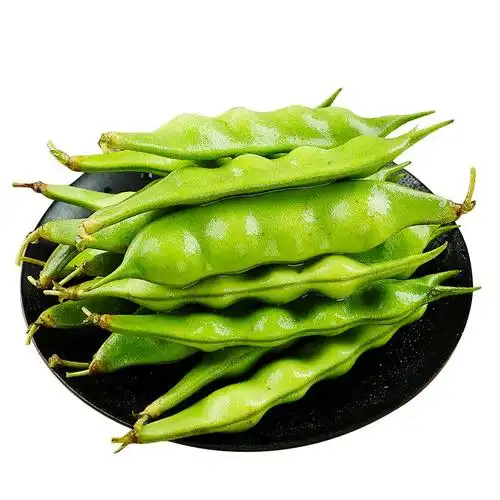 东北油豆角10斤新鲜现摘非一点红豆角农家九月青蔬菜大宽豆角包邮