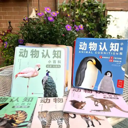 03儿童节给孩子送什么动物认知小百科