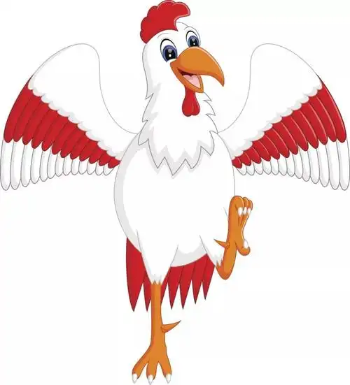 云上4c联盟志解读白羽肉鸡2018年发展况状和2019年发展趋势