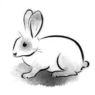 水墨风动物小兔子月兔玉兔中秋手绘中国画