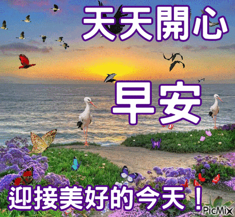 图片,9张免打字就可以聊天的早上好动画表情包_生活_一生_惊涛骇浪