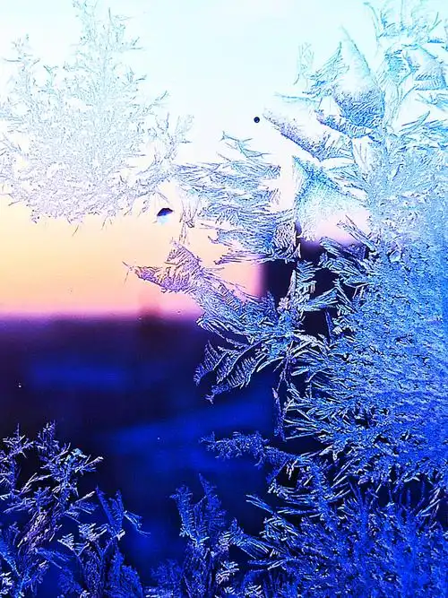 冬天窗户玻璃上的冰花,千姿百态!(二)