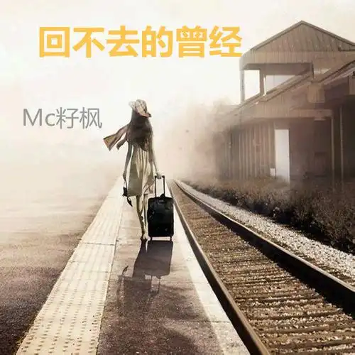 籽枫回不去的曾经