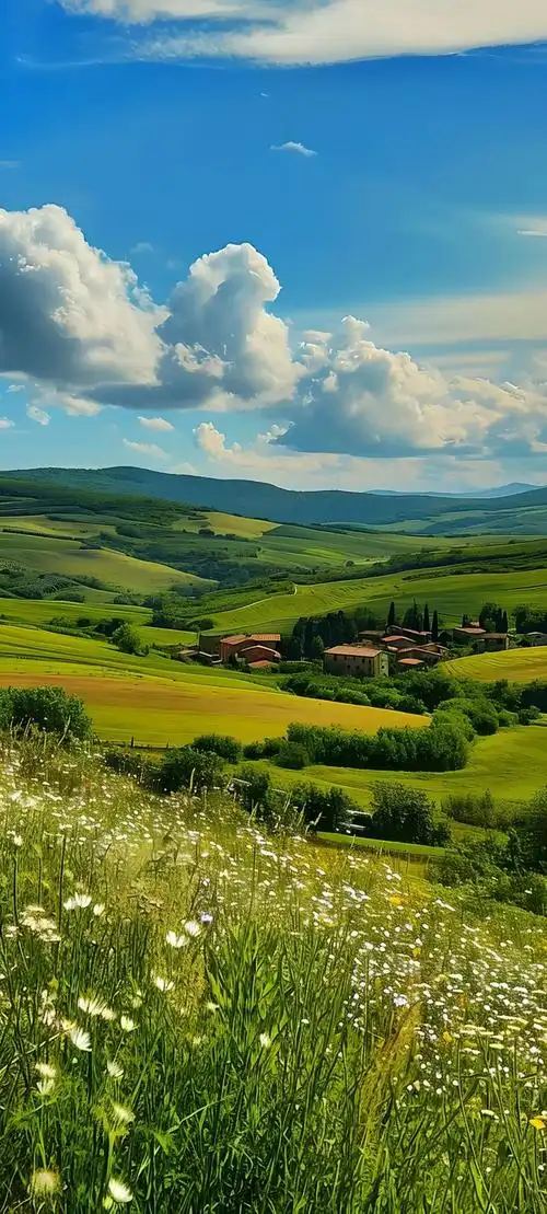 壁纸 草原 桌面 1080_2395 竖版 竖屏 手机
