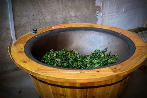 【绿茶篇】茶叶体验式制作,让你更了解茶知识!