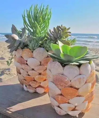 养花都得学的旧物改造方法,垃圾瓶子变花盆,能省不少钱!