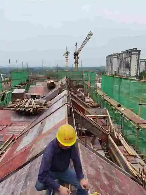 株洲石峰区找两个木模木工师傅做点工