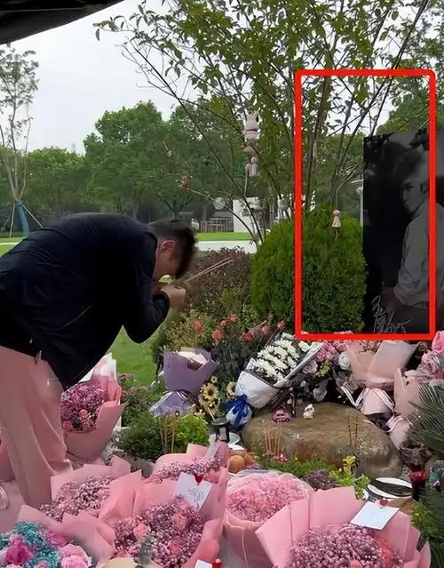 乔任梁去世六周年,父母和陈乔恩前往墓地祭奠,粉色鲜花漫山遍野