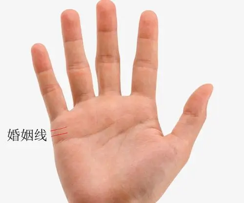 这种手相的女人外表清纯,实则花心,小心了