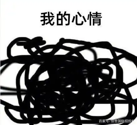 想想过去这半年,我心里乱得像一团麻