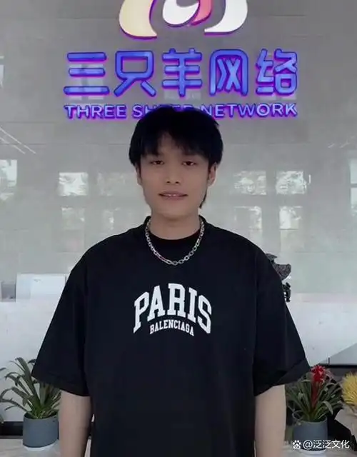 安徽网红"疯狂的小杨哥"