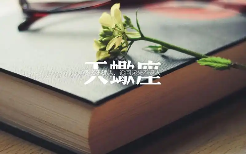 天蝎座文字语录图片桌面壁纸