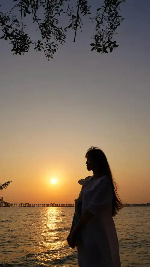 深圳的公园多为开放而免费的,傍晚,夕阳层染,驻海闲望,晚晴海色映霁云