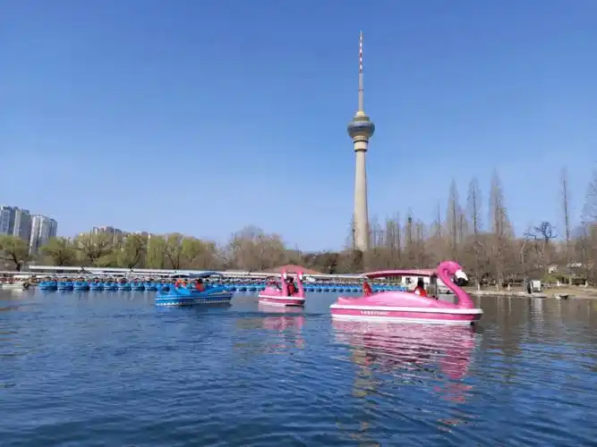 玉渊潭,紫竹院,颐和园,北海,陶然亭五家市属公园的四类(画舫,手划船