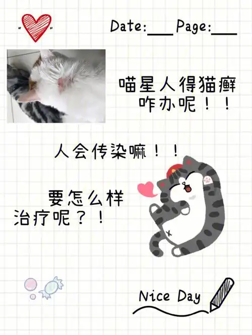 喵星人长猫藓会传给人嘛