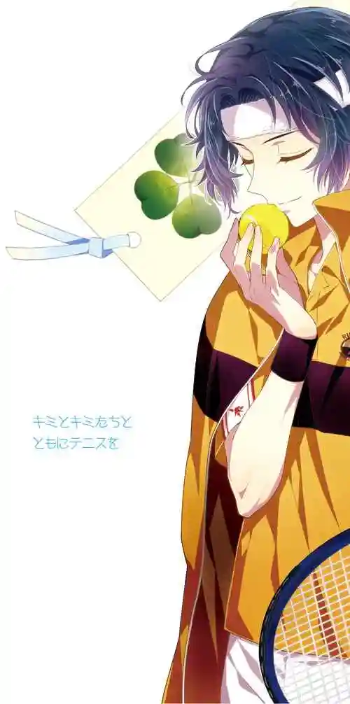 网球王子幸村精市优雅手机壁纸