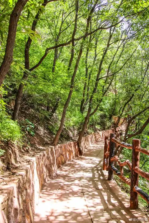 郑州·伏羲山三泉湖景区我的评分:  通天佛手,丛林