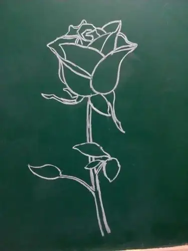 能用粉笔 画 【成这样】只有这个大神了