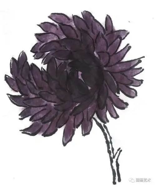图文教程:菊花花头的写意画法