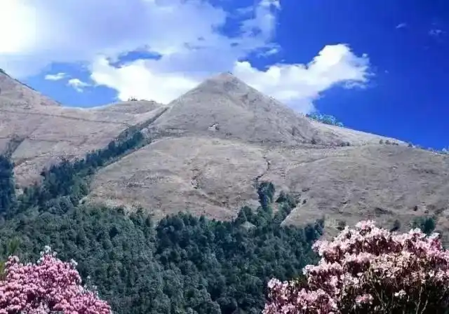 【魅力大姚】神秘的百草岭,有着别样的风光!