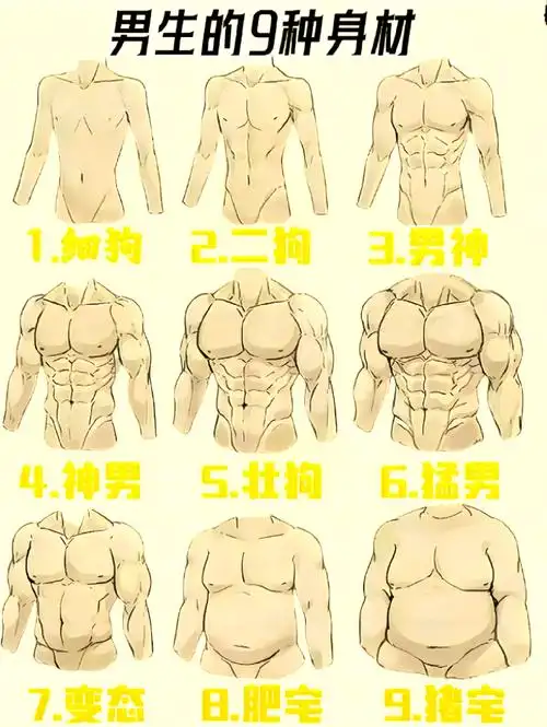 探索男生的9种身材类型,看看你属于哪一种吧!