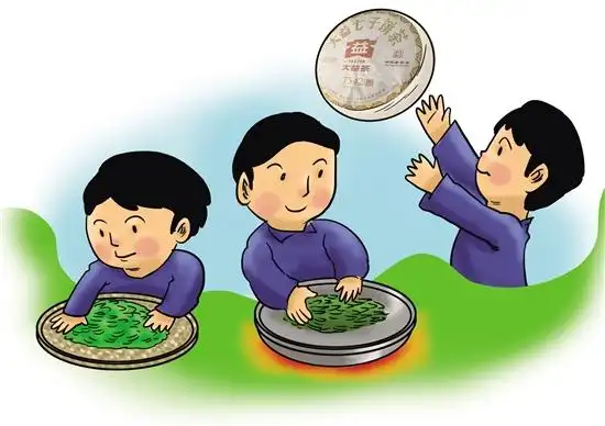 看大益人的匠心制茶