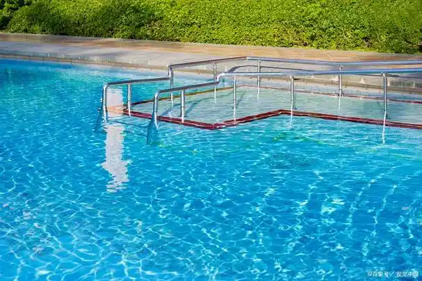 标准游泳池的长宽是多少:带您揭秘标准游泳池的长宽之谜
