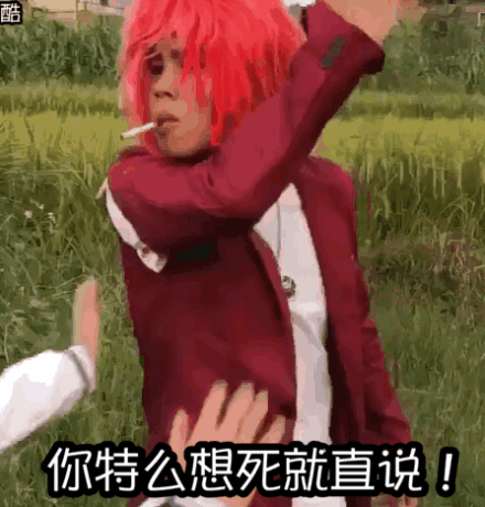 你特么想死就直说!(杀马特打人动图)_动图_马特_直说_打人表情