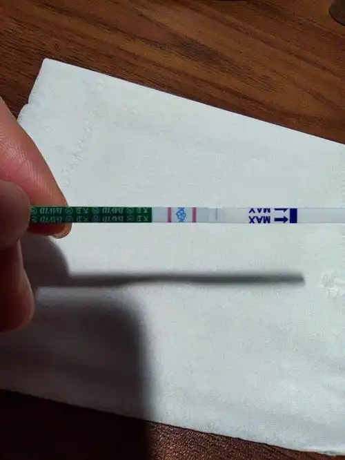 排卵第25天大卫强阳