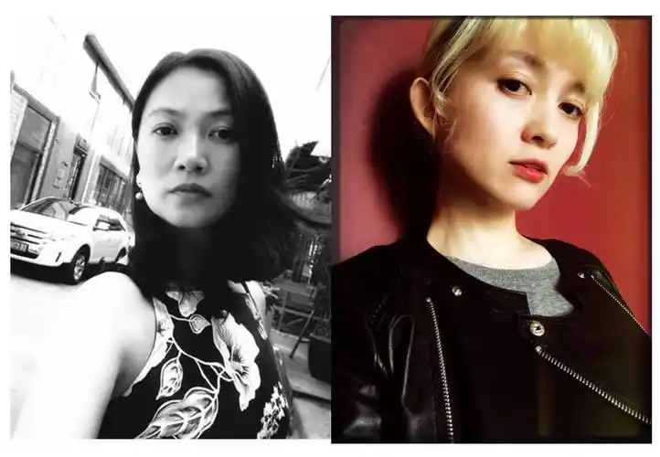 在我的国度:莫卧儿,戴丹丹跨界作品互动会