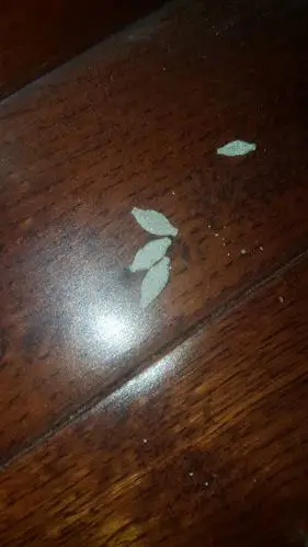 这是在家里的地板上发现的,像颗米粒,这是什么虫?