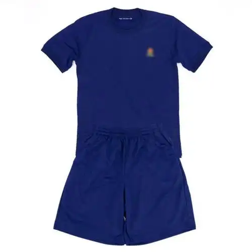 消防体能训练服套装新式蓝色体能服夏季男军迷t恤短袖短裤消防体能服