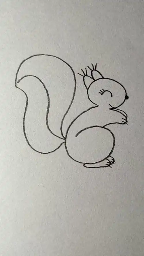 用63画尾巴能当被子盖的松鼠,大家觉得可爱吗