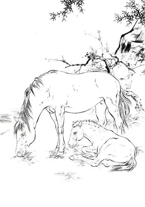 初学者怎么画马的白描线稿,很多初学者在画白描马时不会造型,由于其