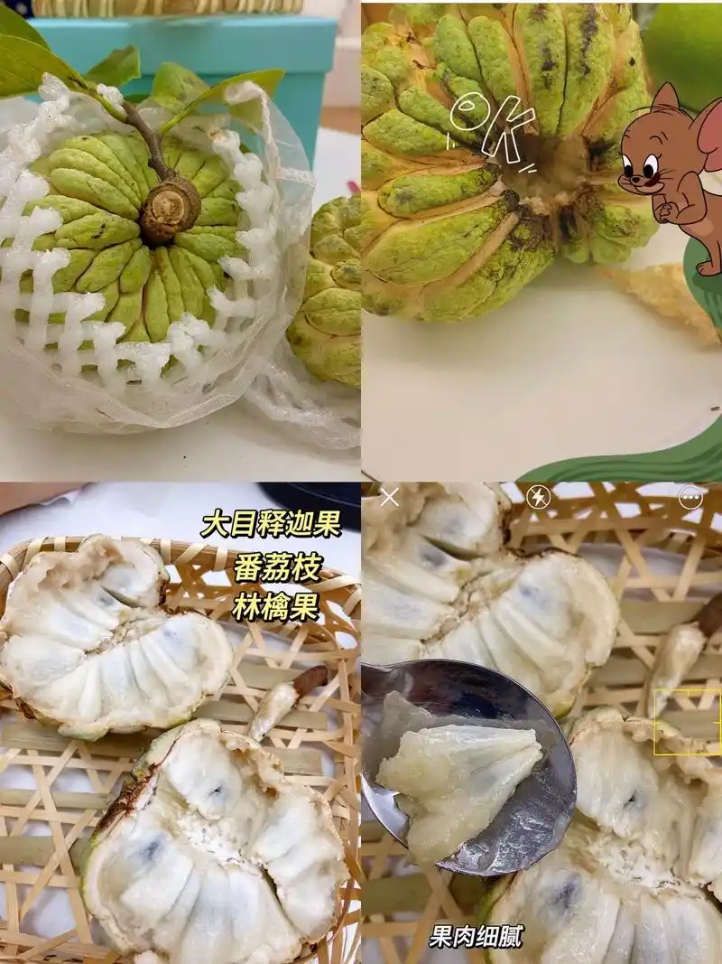 现摘现发番荔枝大目释迦果林檎果.