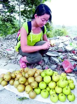 卖梨的小姑娘想来长沙过春节